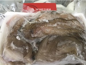 近年飛速發(fā)展的海鮮水產包裝技術